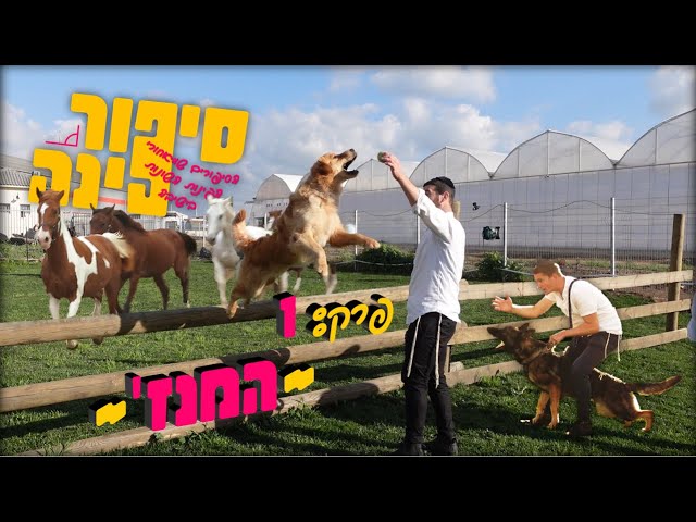 סיפור פינה - פרק 1 - המנז'!