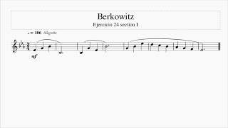Berkowitz Ejercicio 24 section I