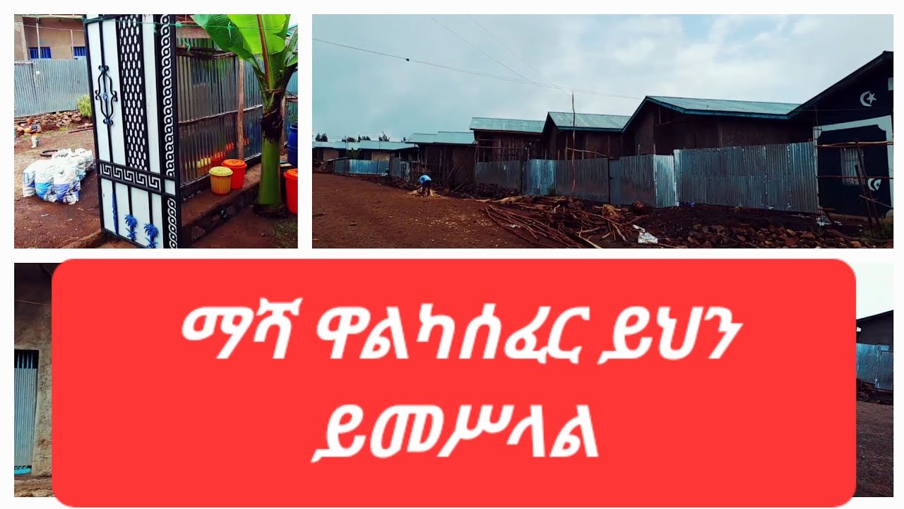 ማሻ መቅደላ ዋልካሰፈር። ይህን ይመሥላል