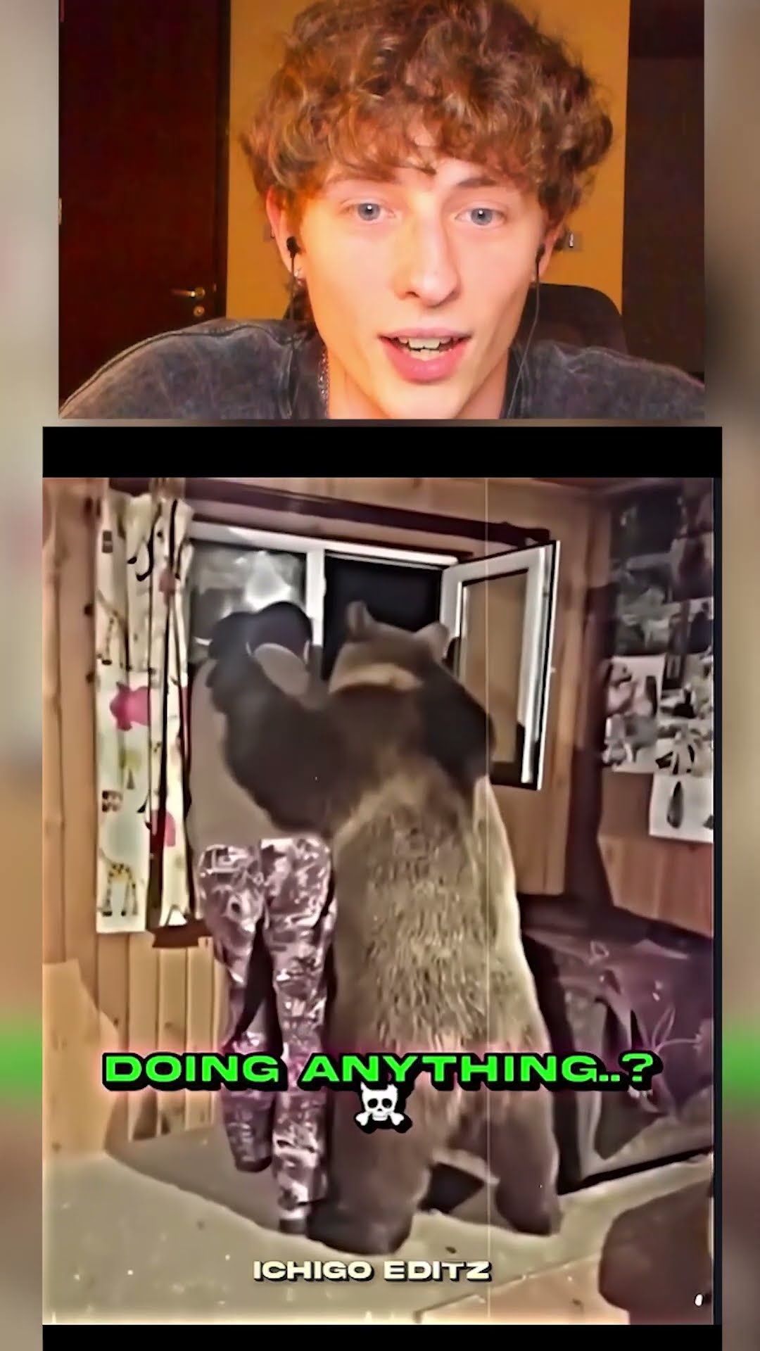 El OSO ?