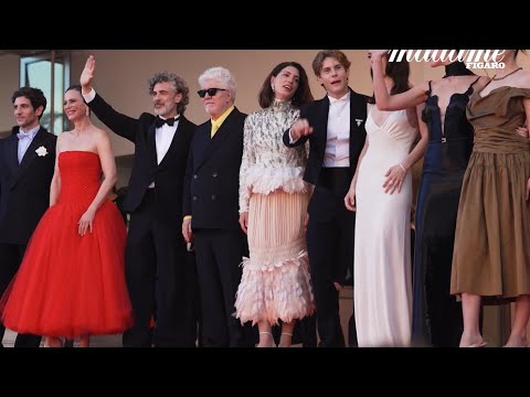 Cannes Film Festival 2026 Red Carpet (day1~day12)