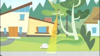 Kid Vs Kat Short - Laser Guided Furball