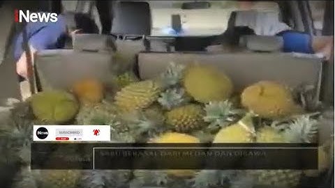 Kelabuhi Polisi, Kurir Sembunyikan 8 Kg Sabu di Tumpukan Durian Part 03 - Indonesia Border 06/07