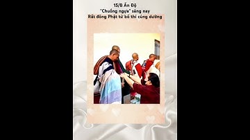 15/8 Ấn Độ. "Chuồng ngựa" sáng nay rất đông Phật tử bố thí cúng dường #minhtue #thayminhtuemoinhat