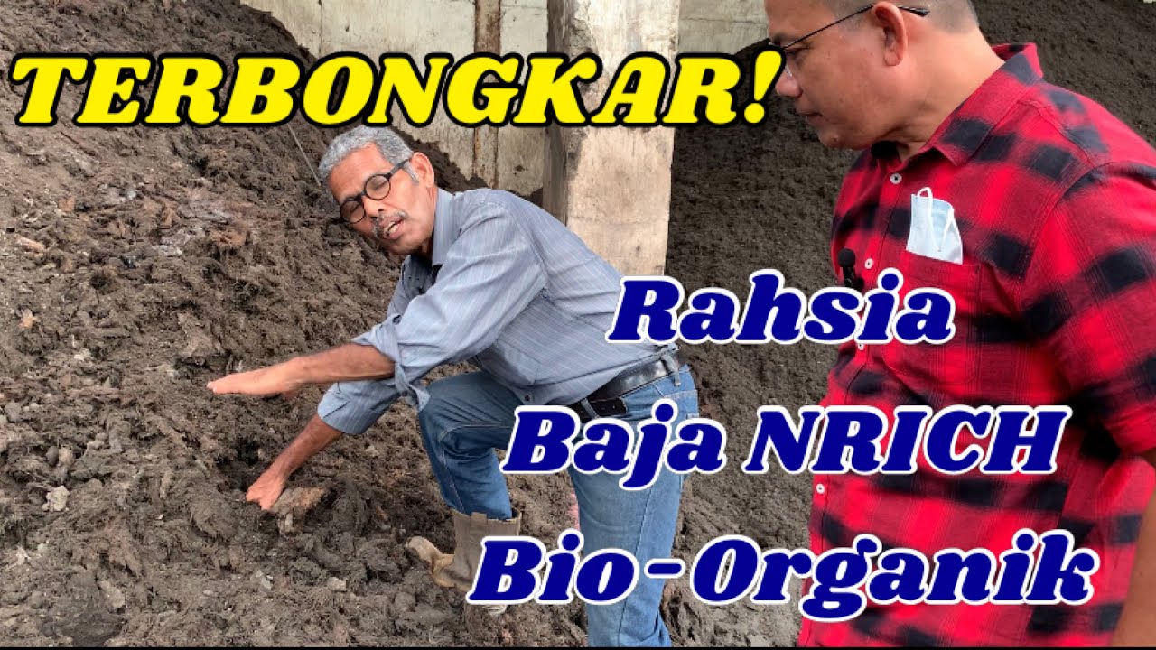 Rahsia Baja Bio-Organik NRICH Terbongkar - Tok Alang Siasat!