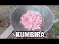 DUMAYO PARA SA HANDAAN | KUMBIRA SA KA ATE LUCY