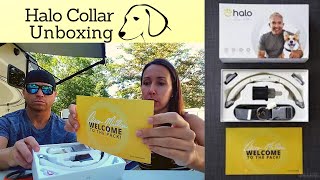 Halo Dog Collar Unboxing and Setup Am I Doing This Right?!?