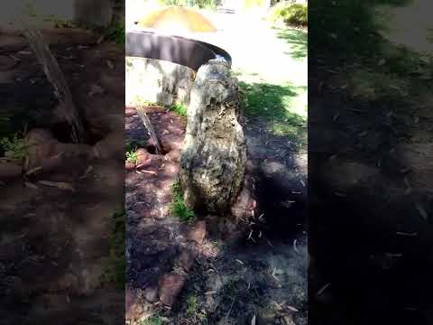 Curtin Campus Sculpture Garden