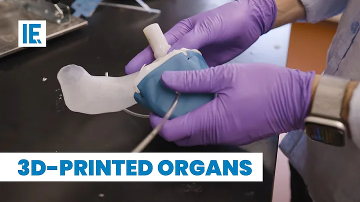 Can 3D Printed Organs Solve the Worldwide Organ Shortage Problem? - DayDayNews