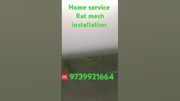Rat mesh installation door step service all car ☎️ 9739921664