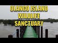 Olongo Island Wildlife Sanctuary 4K