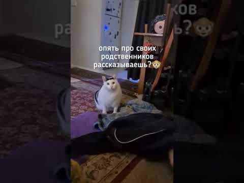 Доказательства существования Бога - покажи это своим друзьям атеистам!