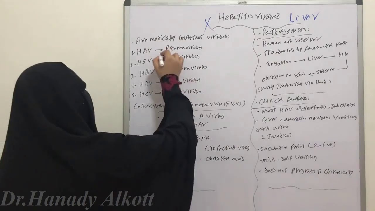 🤨🤭😳Hepatitis viruses (HAV part 1)🤯🙃😖🤓