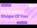 Shape of You (Lower Piano Karaoke) Ed Sheeran