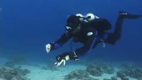 (5thD-X) Essentials Of Technical Diving - (9 Failures) Right Side Fixable