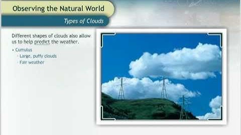 Types of Clouds