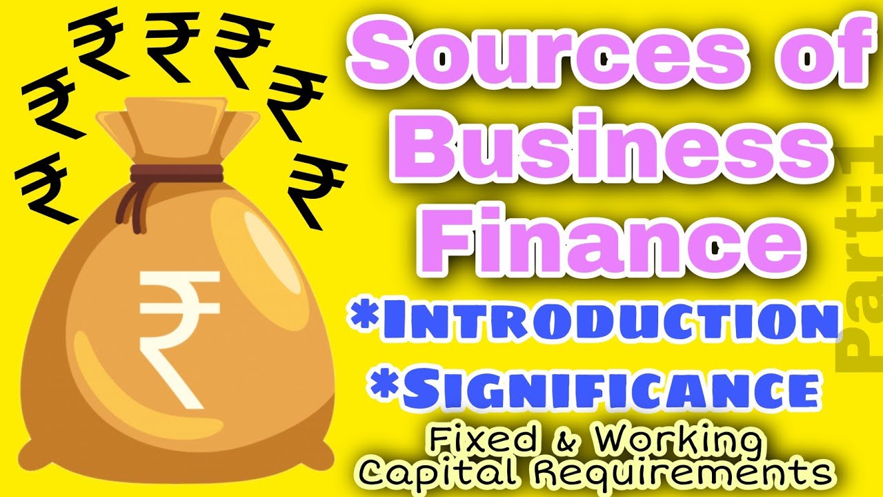 case study on sources of business finance class 11