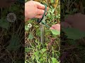 Fastest Knot for Best Holding #diy