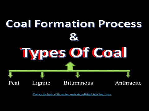 Video: Grades of coal. The place of brown coal in the economy