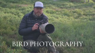 A BIG reward after many hours \/\/ BIRD PHOTOGRAPHY tips and tricks