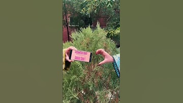 Idea for “COMING SOON” video #shorts #shortsviral #comingsoon #trendingshorts