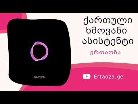 ერთაოზა ხმოვსნი ასისტენტი განხილვა პირველი