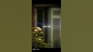 استمع القرآن الكريم