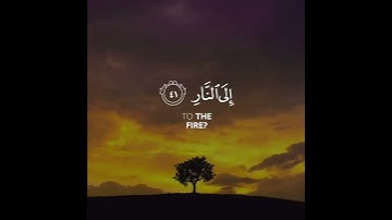 القارئ الشيخ محمد المقيط [سورة غافر _الآيات 41-42] WITH ENGLISH SUBTITLES