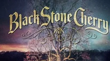 New Kinda Feelin'-Black Stone Cherry