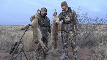 Calling West Texas coyotes.. double down!!  #foxpro #mfk #calling #coyote