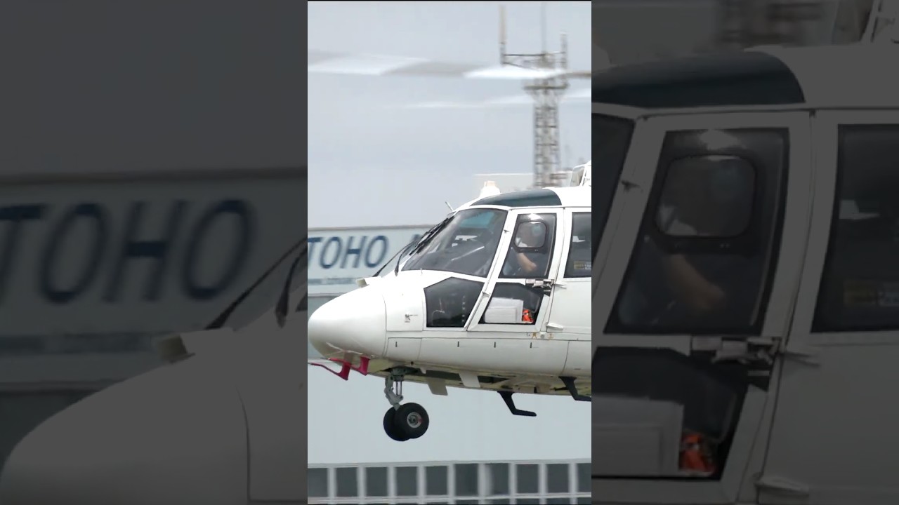 Eurocopter AS365:565 Dauphin 2:Panther JA02EX Landing 4 #東京ヘリポート #automobile #rjti #東邦航空 #helicopter