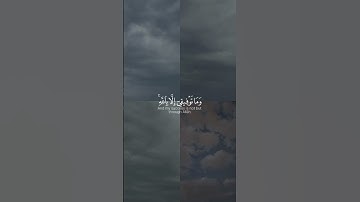 ﴿…وما توفيقي إلا بالله عليه توكلت وإليه أنيب﴾ [هود: ٨٨] القارئ : مشاري العفاسي #quran #قرآن #قران  .