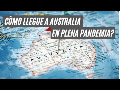 Cómo Convertirse En Patólogo En Australia Preguntas Frecuentes Sobre Carreras