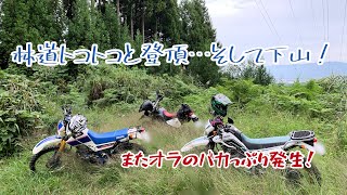 林道トレッキング〜DJEBEL 250XC・セロー250・セロー225 林道トレッキング〜DJEBEL 250XC・セロー250・セロー225