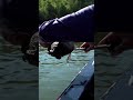 HE CAUGHT A TURTLE?!?!?! #shorts