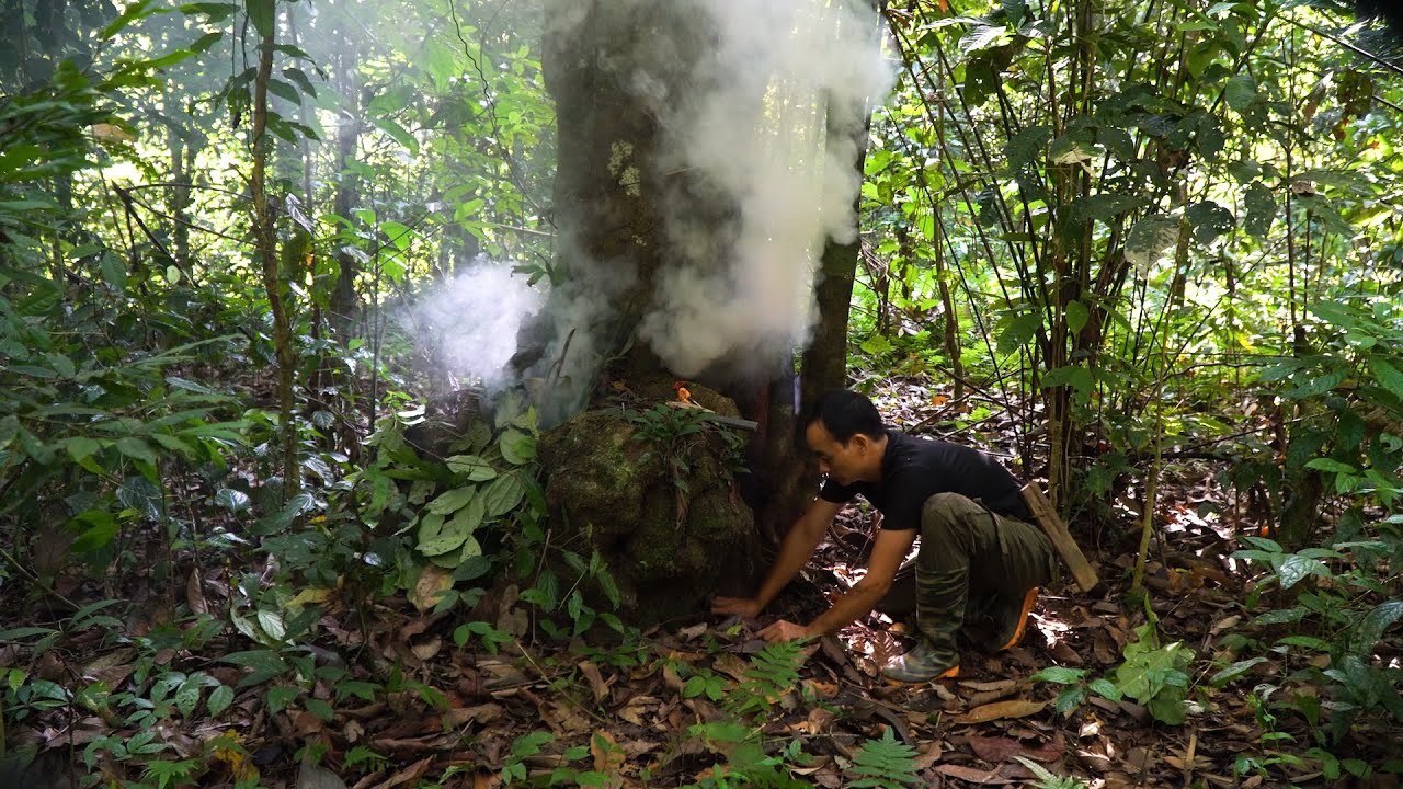 Food hidden deep inside the tree hollow | LIVING OFF THE GRID | Episode 85