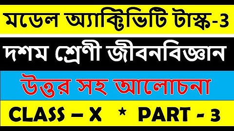 Class 10 Life Science model activity task part 3 || জীবনবিজ্ঞান মডেল অ্যাকটিভিটি টাস্ক দশম শ্রেণী