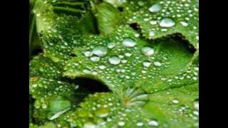 Frédéric Chopin's 'Raindrop' Prelude, Op 28, No. 15