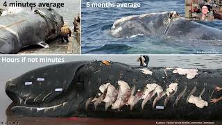 We are all Whalers - Michael Moore
