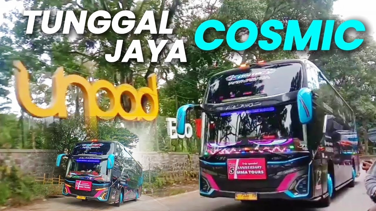 HUNTING BUS DI JANSPARK‼️SERU BANGET‼️BANYAK BUS ARTISNYA