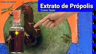 Como fazer Extrato de Própolis.