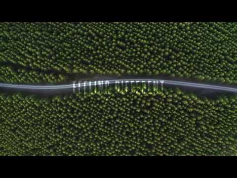 Guarda bace - feeling different (chill hop, jazz hop) su YouTube Guarda bace - feeling different (chill hop, jazz hop) su YouTube