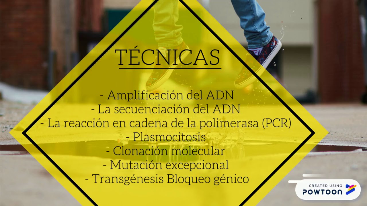 Ingenieria Genetica Youtube