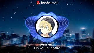 Hiding In The Dark-Jake hill