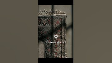 تلاوة خاشعة 🤍بصوت ياسر الدوسري 🎧💗/#تلاوة_هادئة #تلاوة_خاشعة #القرآن_الكريم #quran #ياسر_الدوسري