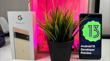 Android 13 Developer Preview 1 | OUT NOW | Release Timeline and Features