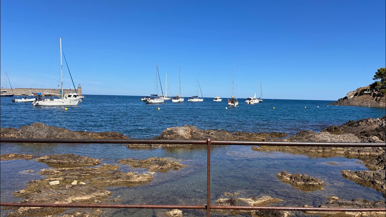 ⁣La baie de Collioure en direct   !