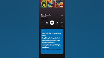 DIARY EXPRESIKU - LAST CHILD LYRICS || SPOTIFY #shorts #music #lirycs #spotify