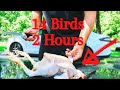 Chicken Processing From Start To Finish | Step By Step With Cost | Simple & Easy