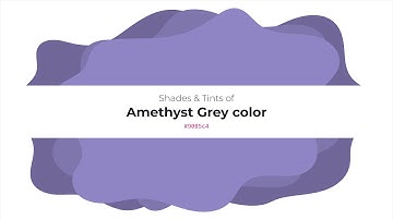 Shades & Tints of Amethyst Grey color #9085c4 A Warm Violet color #8076ae #706798 #9c92ca #a8a0d1